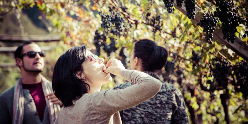 San Michele all'Adige  #6