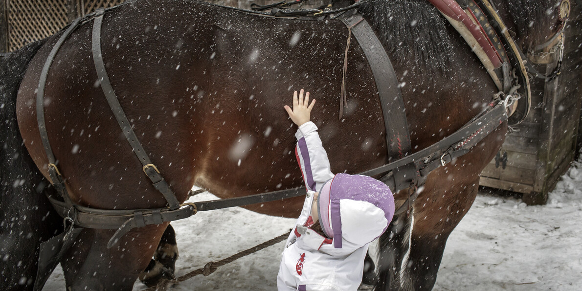 Ben jij geen wintersporter maar je houdt wel van sneeuw? 