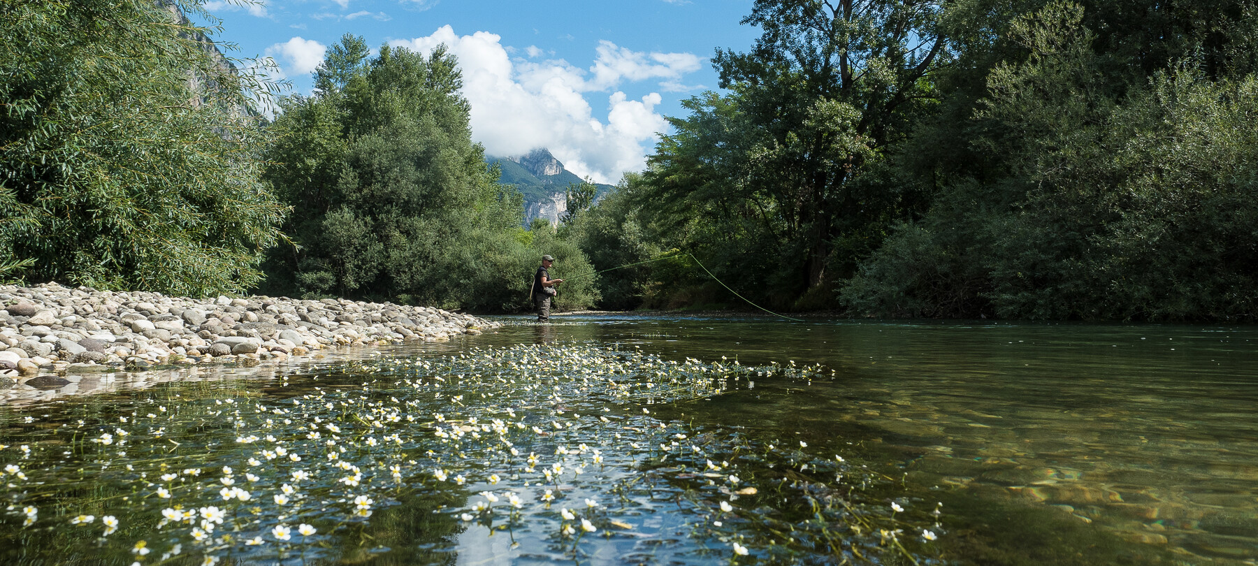 Marble Trout: A Guide to Fishing in Trentino