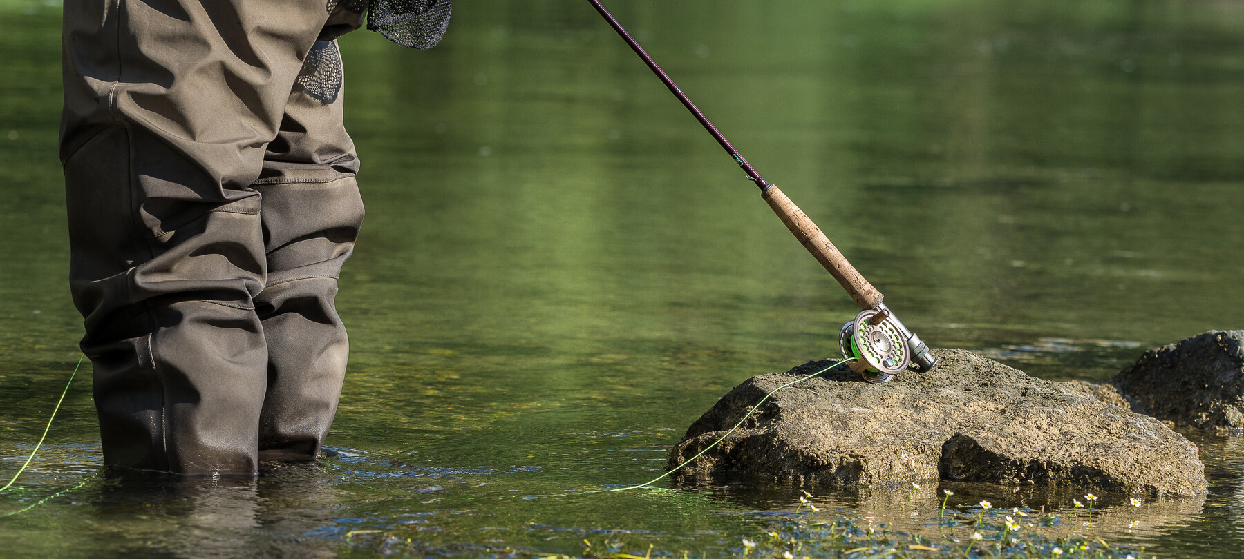 Grayling fishing guide in Trentino 