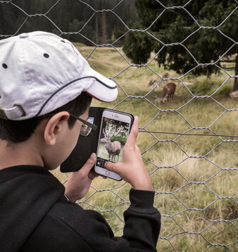 Trentino Guest Card - Nature #3