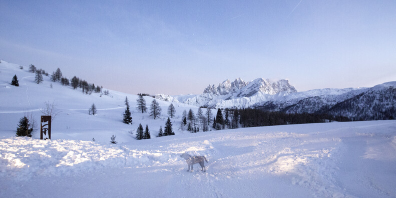 Passo San Pellegrino  #5