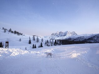 Val di Fassa - Passo San Pellegrino - Fuciade - Panorama 
