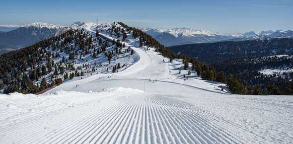 Val di Fiemme - Cavalese - Cermis - Ski holidays