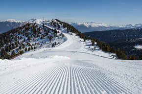 Val di Fiemme - Cavalese - Cermis - Ski holidays