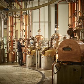 The gins of Trentino