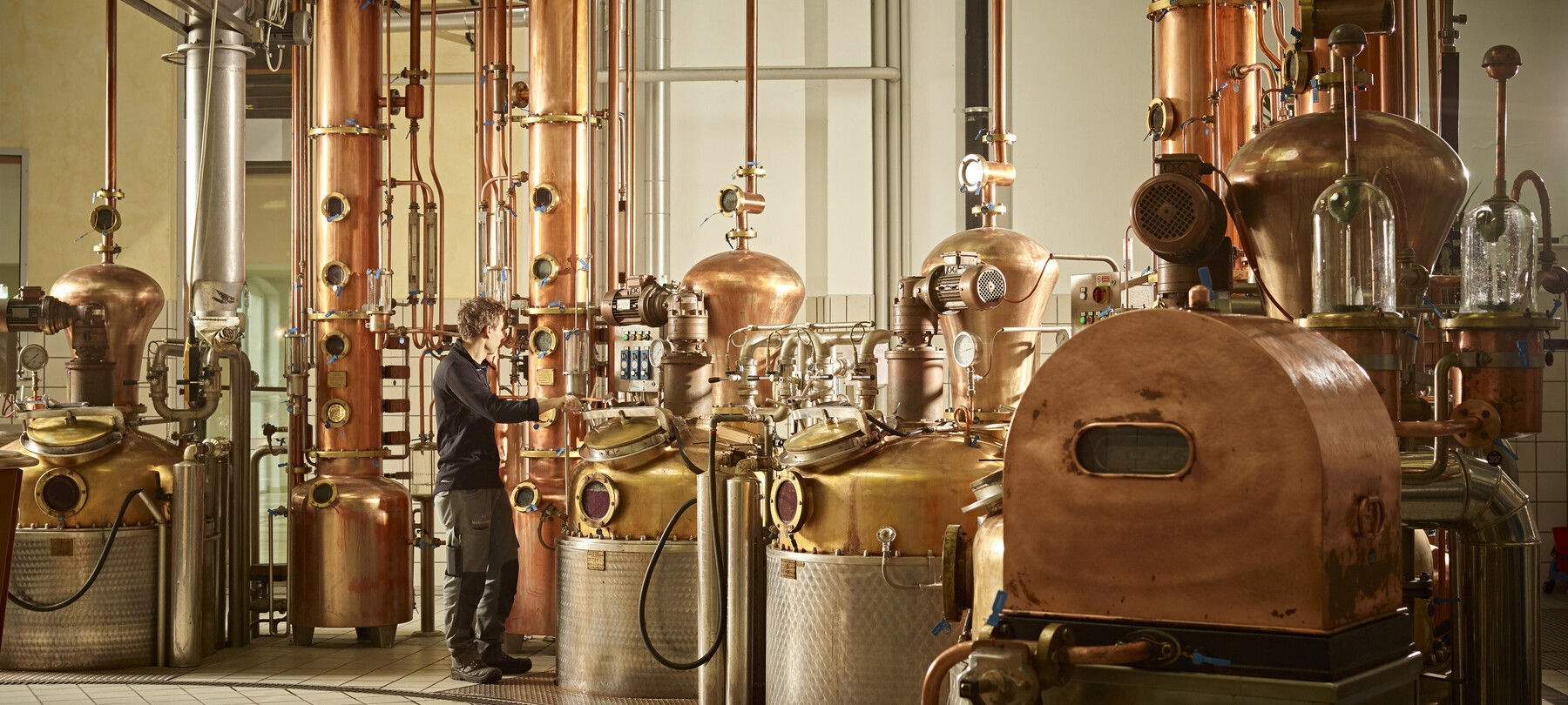 Vallagarina - Nogaredo - Distilleria Marzadro