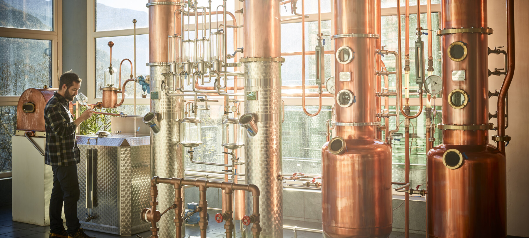 Trentino grappa: a quality spirit full of local flavour