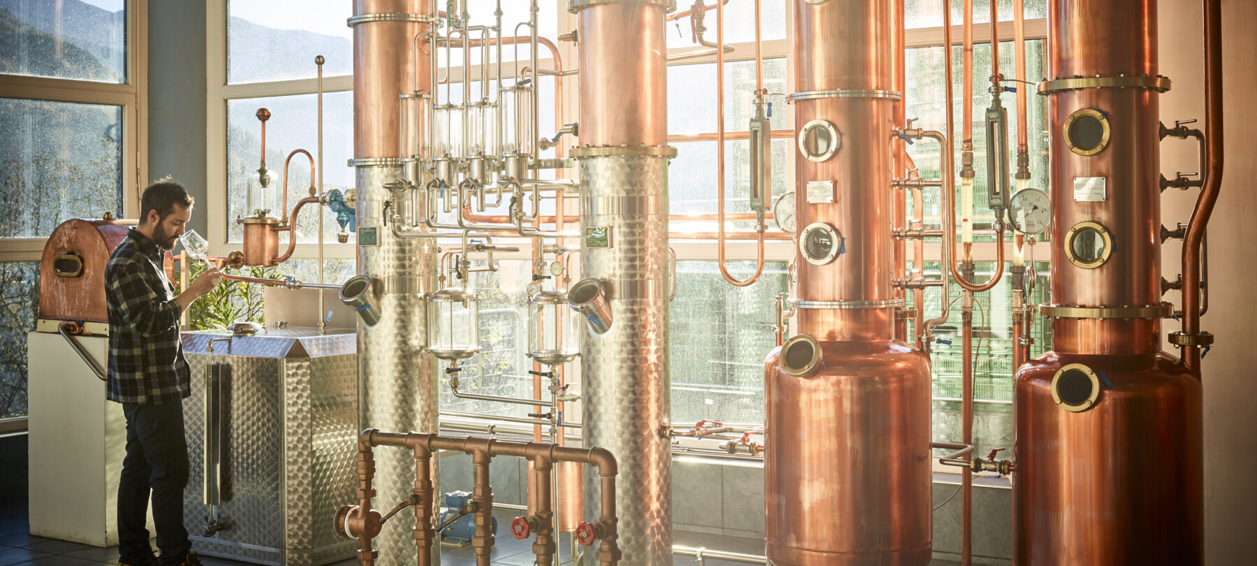 Trentino grappa: a quality spirit full of local flavour