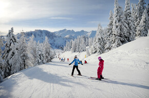 Malè - Val di Sole - Folgarida, Marilleva - Skiing in the Italian Alps