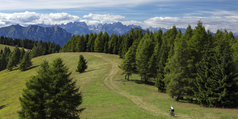 Bike Shuttle Alpe Cimbra