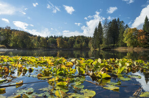 Seen und Herbstspaziergänge im Trentino