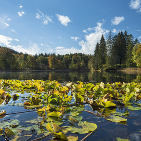 Lakes and autumn walks in Trentino
