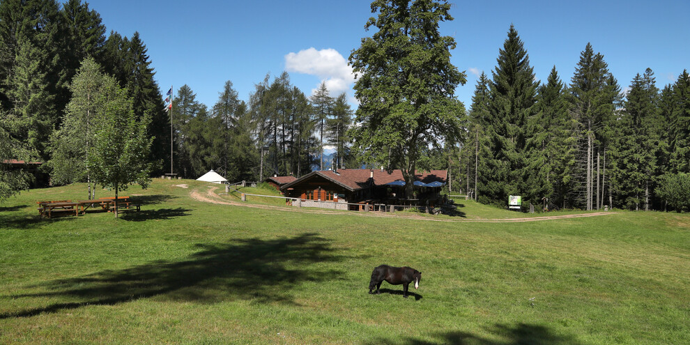 Towards the Potzmauer mountain hut with a mountain guide