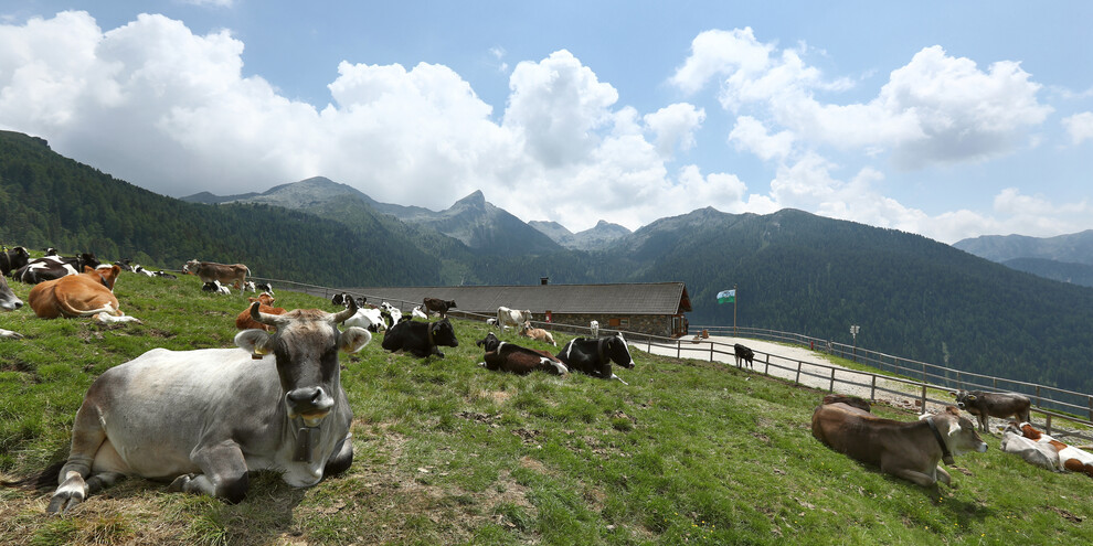 Rifugio Serot, Valsugana