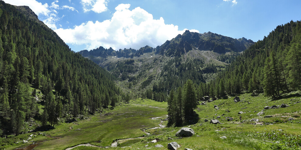 Экскурсия на природе