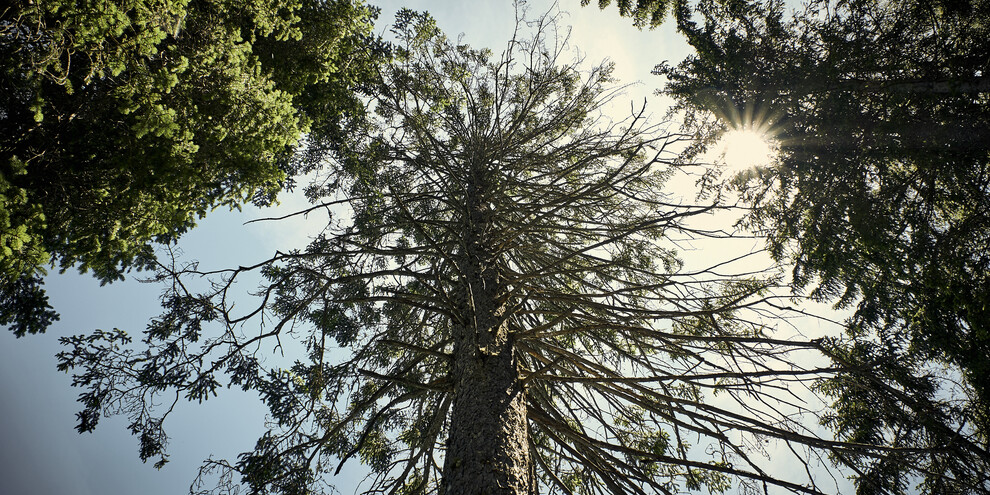 Besuch im Museum Casa del Parco Lago Rosso