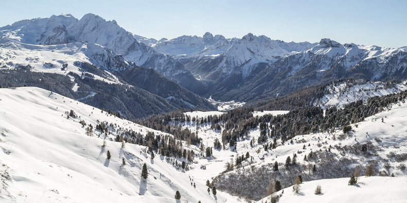 © Alessandro Gruzza