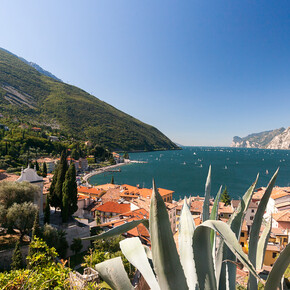 Garda Trentino - Torbole - Panorama
