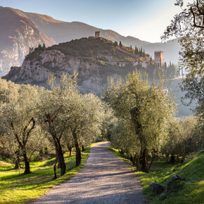 5 things to do in Arco