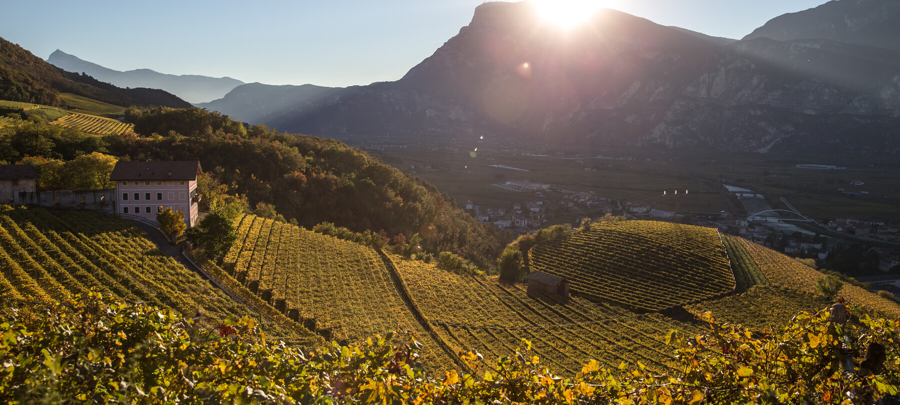 Wine tourism: discovering Teroldego in Piana Rotaliana