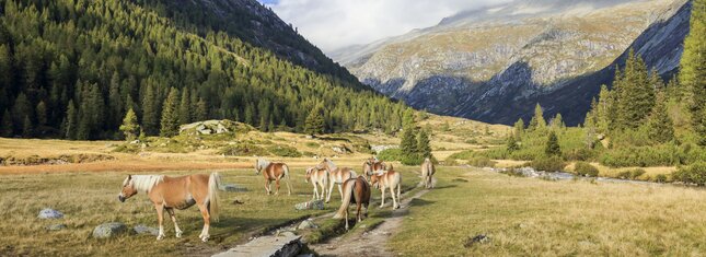 Valli Giudicarie and Valle del Chiese