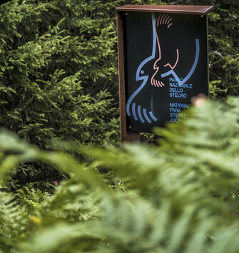 Trentino Guest Card - Nature #2