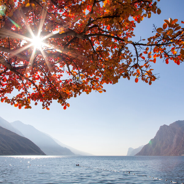 Alto Garda - Torbole
