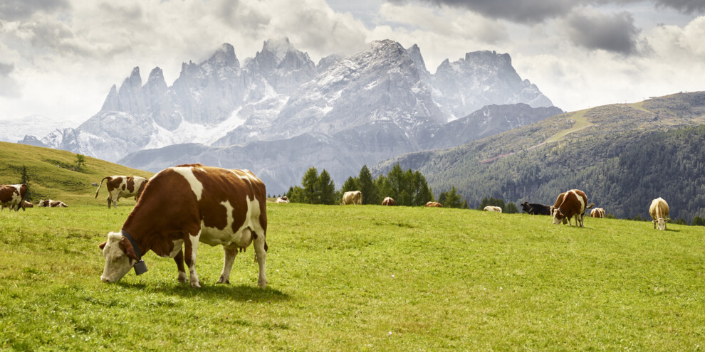 Fuciade Mountain Hut route, Val di Fassa
