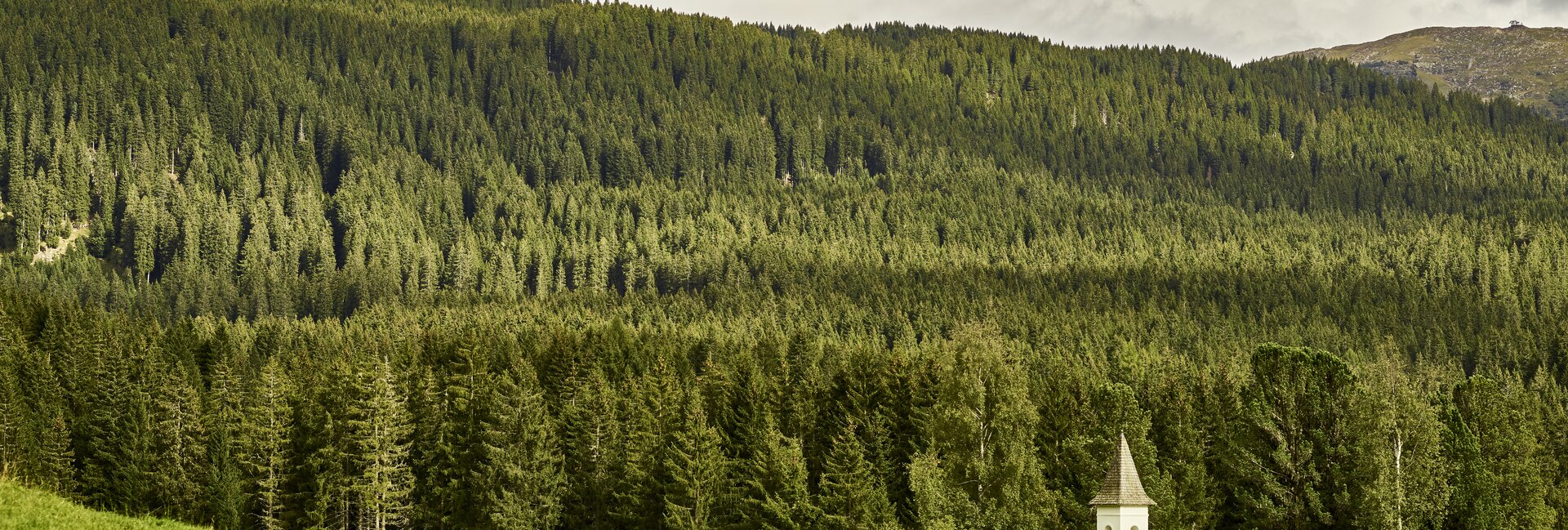 Val di Fiemme - Pampeago - Panorama