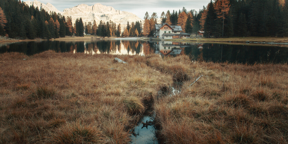 A bouquet of proposals