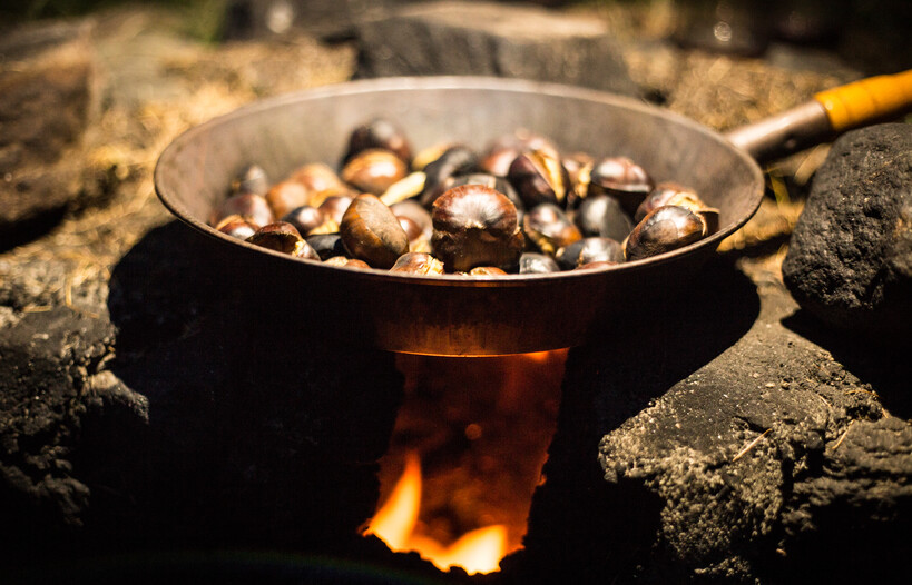 The recipes of Trentino autumn