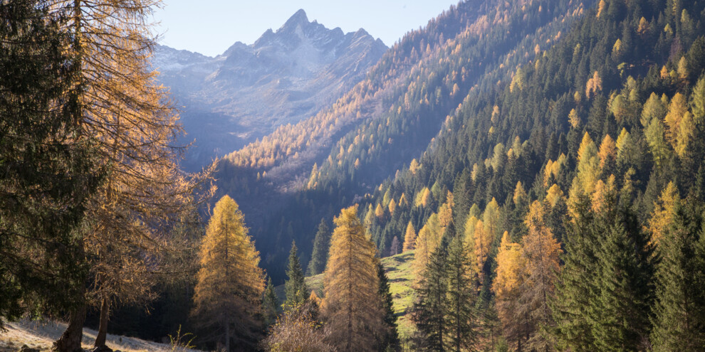 Complete the Val di Rabbi Tour by MTB