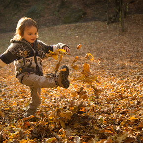 Po podzimních cestách