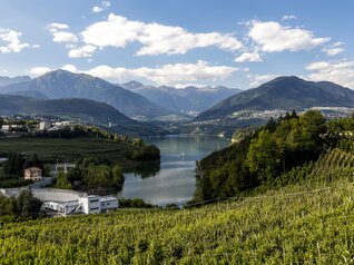 Lake Santa Giustina - The big dam in the valley of canyons
