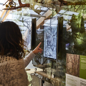 От страшилок до научных знаний