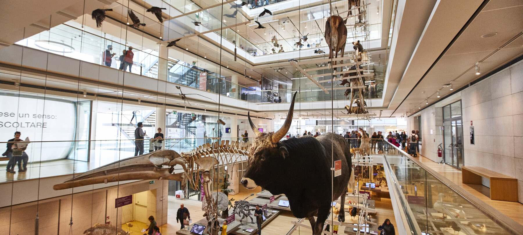 The Accessible Culture Guide in Trentino