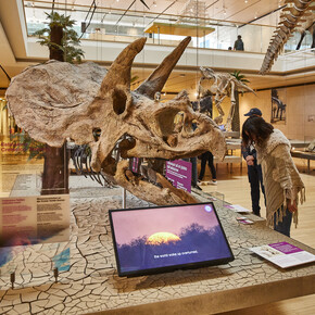 Do muzeum z całą rodziną