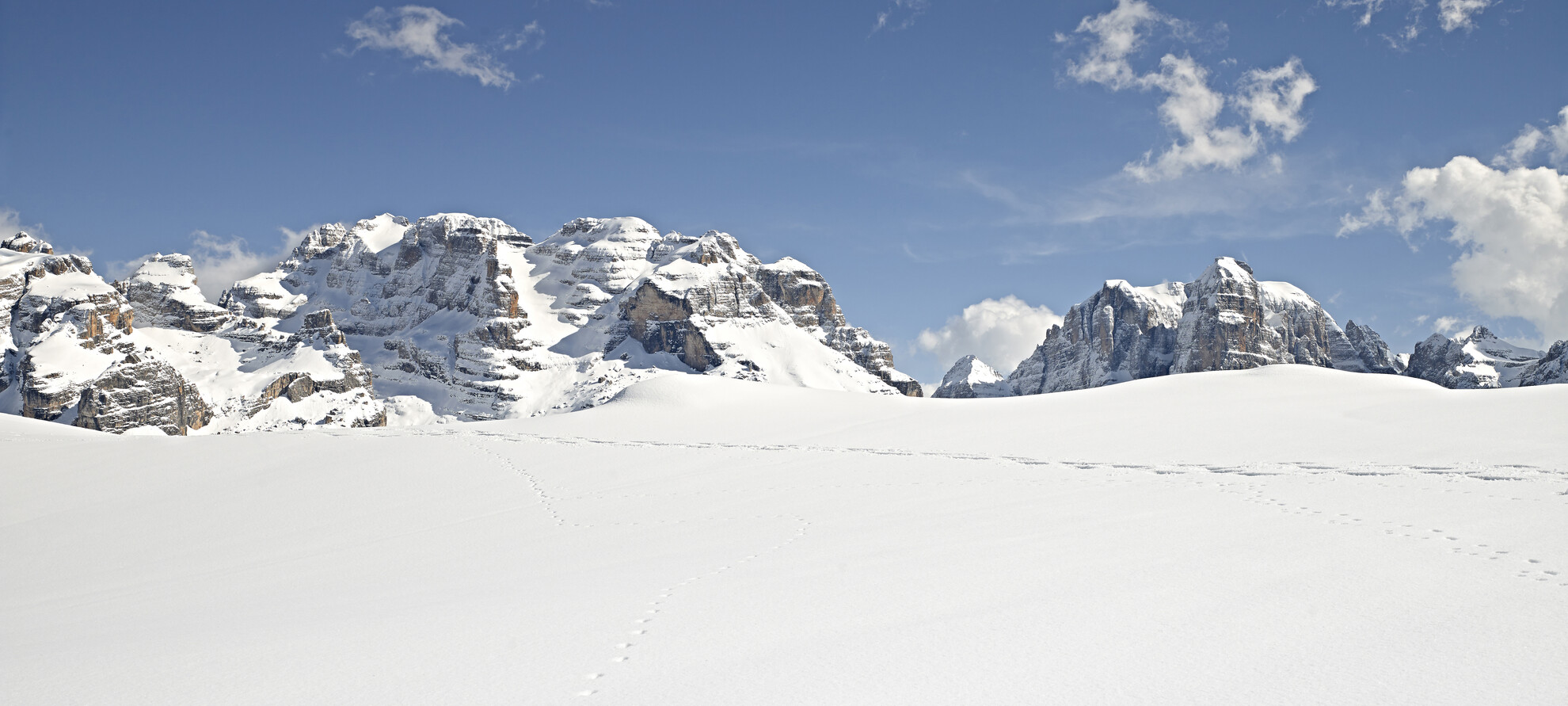 Die Farben des Winters