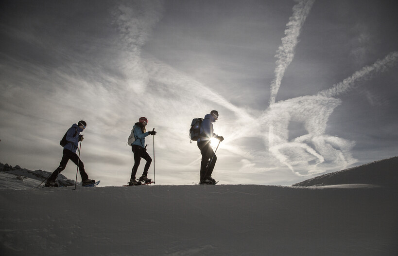 Spacer na łonie natury