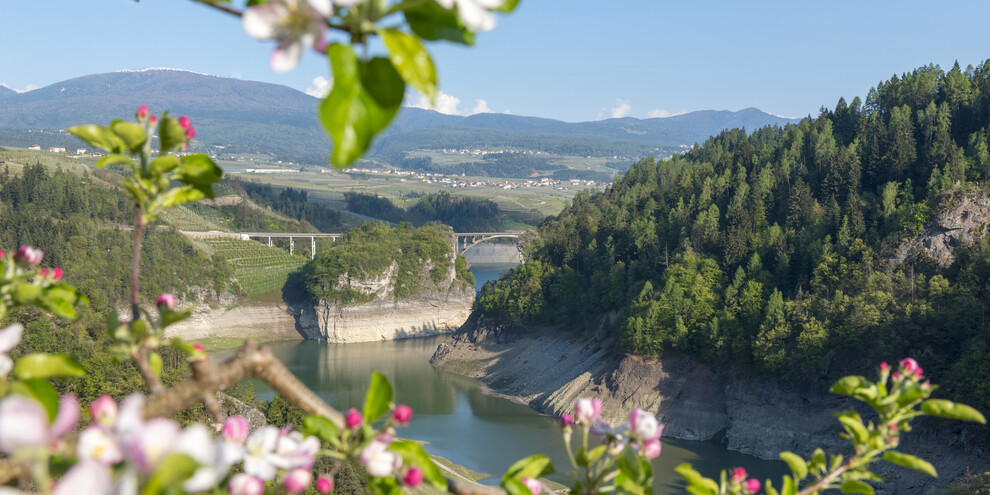 Val di Non - Lago di Santa Giustina - Meleti in fiore
