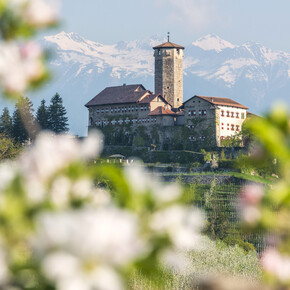 Val di Non - Castel Valer - Meleti in fiore
