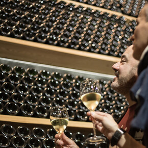 Valle dell'Adige - Piana Rotaliana - Mezzocorona - Cantina Mezzacorona