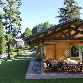 Alpine Botanical Garden, Viote del Monte Bondone