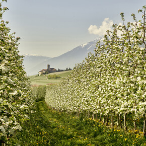 Val di Non - Meleti - Castel Valer