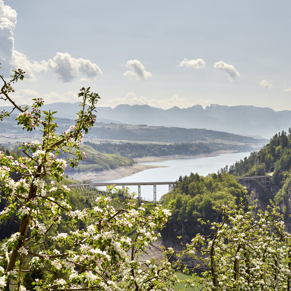 Val di Non - Meleti - Lago si Santa Giustina