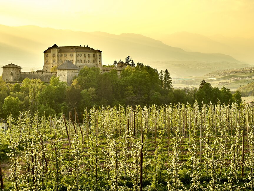 Val di Non - Meleti - Castel Thun