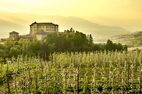 Val di Non - Meleti - Castel Thun