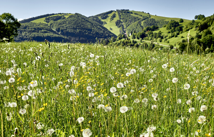 Vallagarina - Monte Baldo - San Valentino