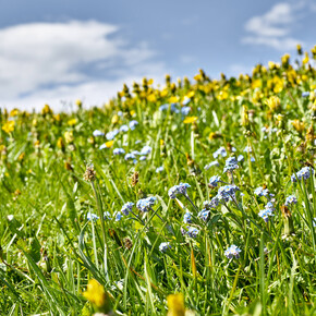 Vallagarina - Monte Baldo